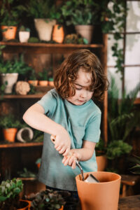 little boy plants a plant in a greenhouse